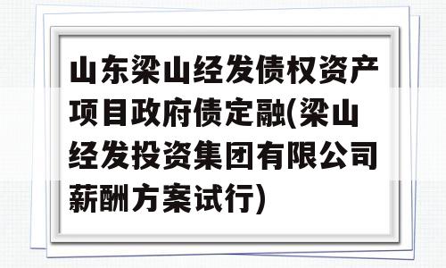 山东梁山经发债权资产项目政府债定融(梁山经发投资集团有限公司薪酬方案试行)