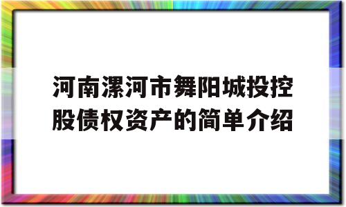 河南漯河市舞阳城投控股债权资产的简单介绍