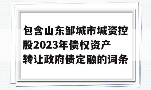 包含山东邹城市城资控股2023年债权资产转让政府债定融的词条