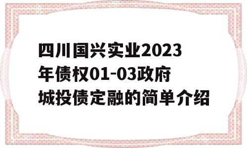 四川国兴实业2023年债权01-03政府城投债定融的简单介绍