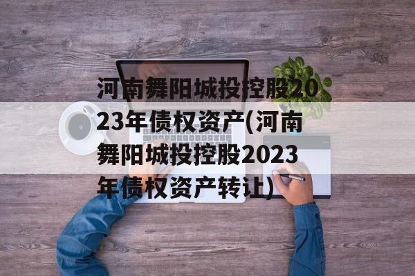 河南舞阳城投控股2023年债权资产(河南舞阳城投控股2023年债权资产转让)