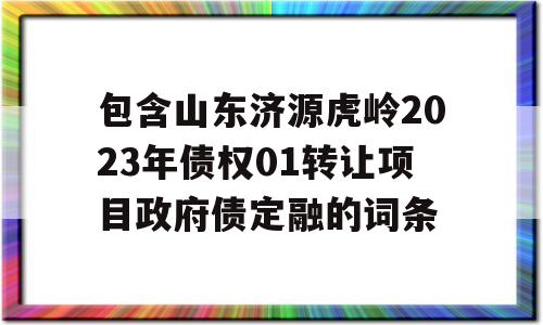 包含山东济源虎岭2023年债权01转让项目政府债定融的词条