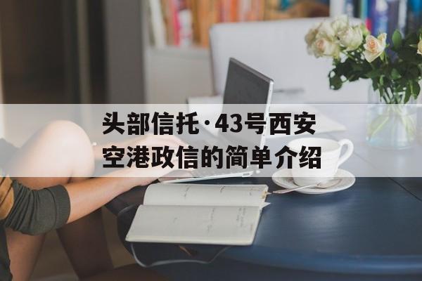 头部信托·43号西安空港政信的简单介绍