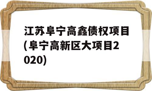 江苏阜宁高鑫债权项目(阜宁高新区大项目2020)