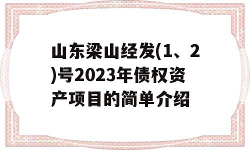 山东梁山经发(1、2)号2023年债权资产项目的简单介绍