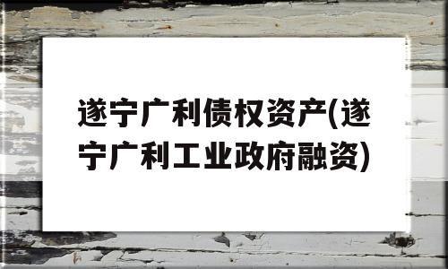 遂宁广利债权资产(遂宁广利工业政府融资)