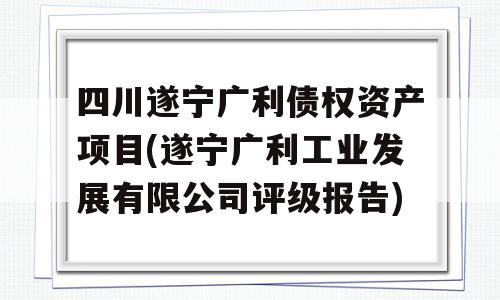 四川遂宁广利债权资产项目(遂宁广利工业发展有限公司评级报告)