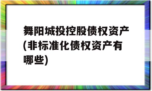 舞阳城投控股债权资产(非标准化债权资产有哪些)