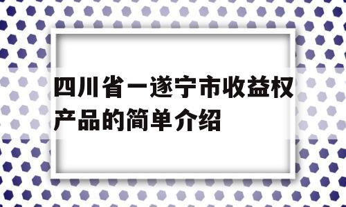 四川省一遂宁市收益权产品的简单介绍