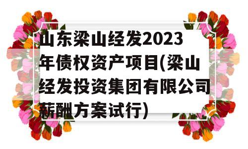 山东梁山经发2023年债权资产项目(梁山经发投资集团有限公司薪酬方案试行)