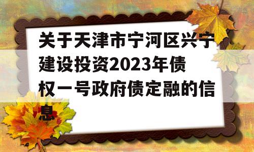 关于天津市宁河区兴宁建设投资2023年债权一号政府债定融的信息