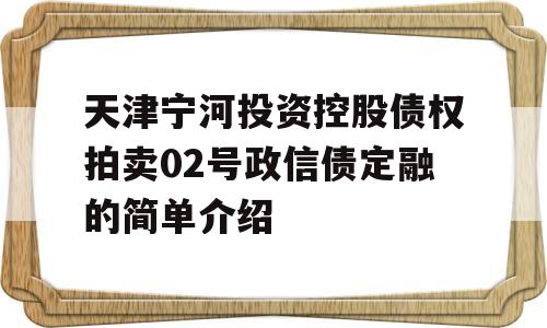 天津宁河投资控股债权拍卖02号政信债定融的简单介绍