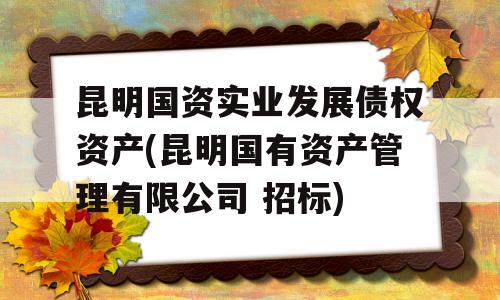 昆明国资实业发展债权资产(昆明国有资产管理有限公司 招标)