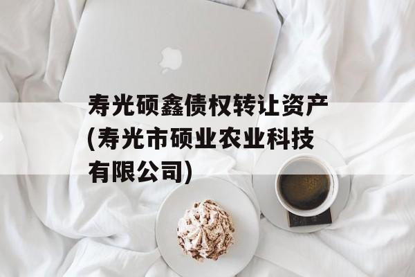 寿光硕鑫债权转让资产(寿光市硕业农业科技有限公司)