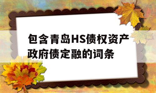 包含青岛HS债权资产政府债定融的词条