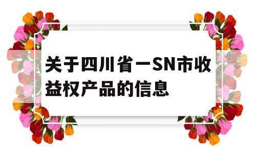 关于四川省一SN市收益权产品的信息