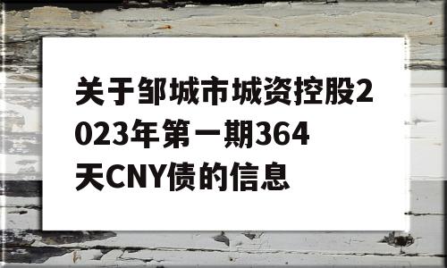 关于邹城市城资控股2023年第一期364天CNY债的信息