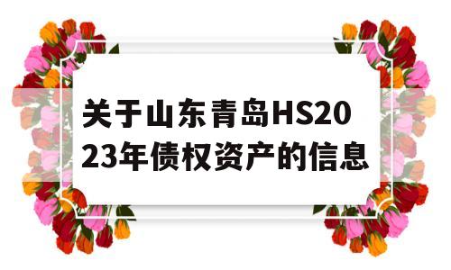 关于山东青岛HS2023年债权资产的信息