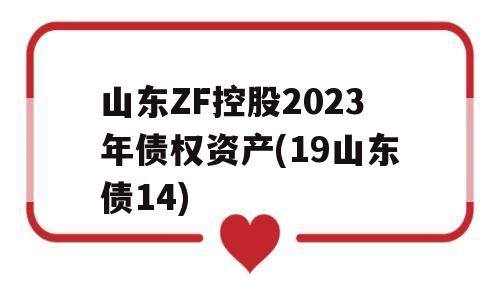 山东ZF控股2023年债权资产(19山东债14)