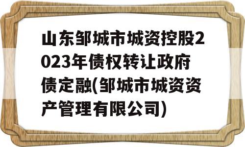 山东邹城市城资控股2023年债权转让政府债定融(邹城市城资资产管理有限公司)