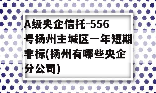 A级央企信托-556号扬州主城区一年短期非标(扬州有哪些央企分公司)