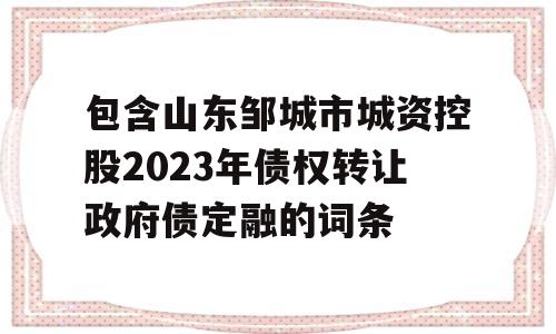 包含山东邹城市城资控股2023年债权转让政府债定融的词条