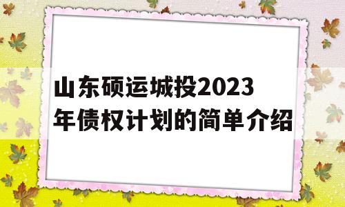 山东硕运城投2023年债权计划的简单介绍