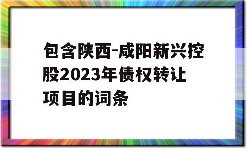 包含陕西-咸阳新兴控股2023年债权转让项目的词条