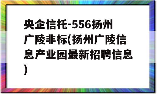 央企信托-556扬州广陵非标(扬州广陵信息产业园最新招聘信息)