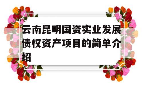 云南昆明国资实业发展债权资产项目的简单介绍