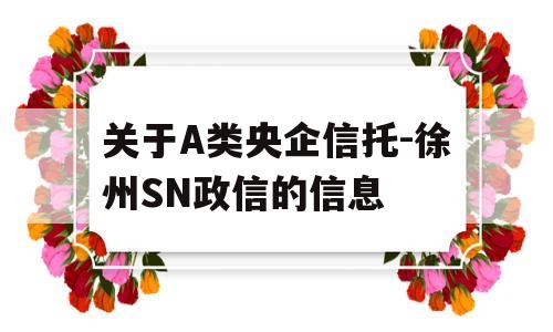 关于A类央企信托-徐州SN政信的信息