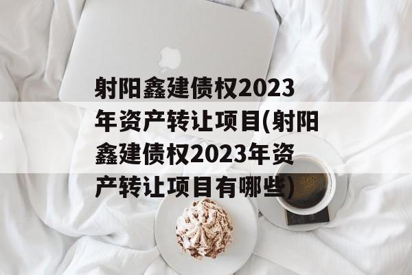 射阳鑫建债权2023年资产转让项目(射阳鑫建债权2023年资产转让项目有哪些)