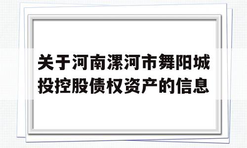 关于河南漯河市舞阳城投控股债权资产的信息