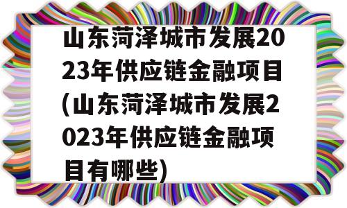 山东菏泽城市发展2023年供应链金融项目(山东菏泽城市发展2023年供应链金融项目有哪些)