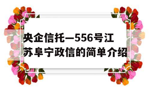 央企信托—556号江苏阜宁政信的简单介绍