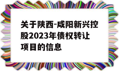 关于陕西-咸阳新兴控股2023年债权转让项目的信息