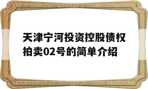 天津宁河投资控股债权拍卖02号的简单介绍