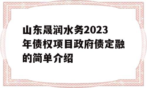 山东晟润水务2023年债权项目政府债定融的简单介绍