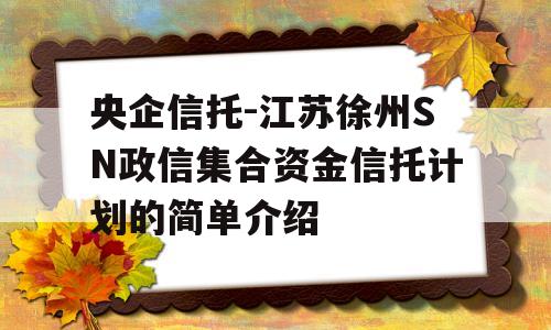 央企信托-江苏徐州SN政信集合资金信托计划的简单介绍