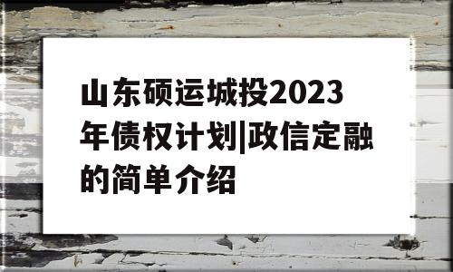 山东硕运城投2023年债权计划|政信定融的简单介绍