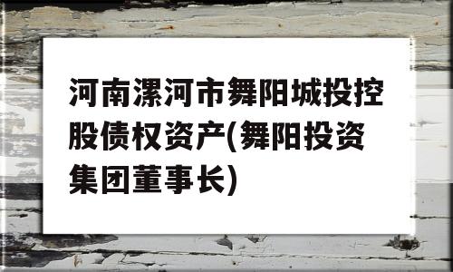 河南漯河市舞阳城投控股债权资产(舞阳投资集团董事长)