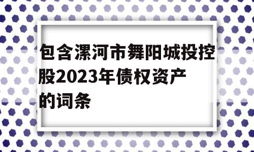 包含漯河市舞阳城投控股2023年债权资产的词条