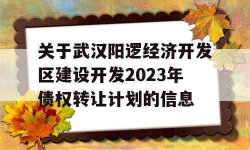 关于武汉阳逻经济开发区建设开发2023年债权转让计划的信息