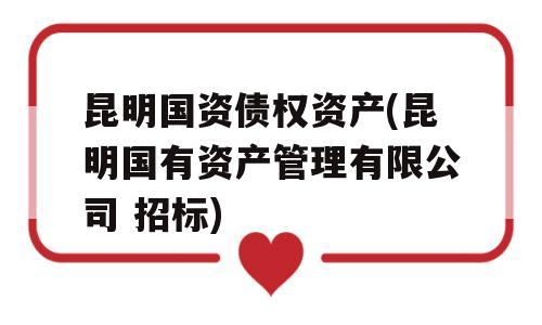 昆明国资债权资产(昆明国有资产管理有限公司 招标)