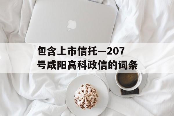 包含上市信托—207号咸阳高科政信的词条