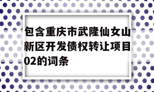 包含重庆市武隆仙女山新区开发债权转让项目02的词条