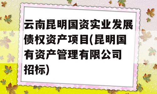 云南昆明国资实业发展债权资产项目(昆明国有资产管理有限公司 招标)