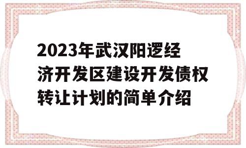 2023年武汉阳逻经济开发区建设开发债权转让计划的简单介绍