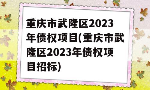 重庆市武隆区2023年债权项目(重庆市武隆区2023年债权项目招标)