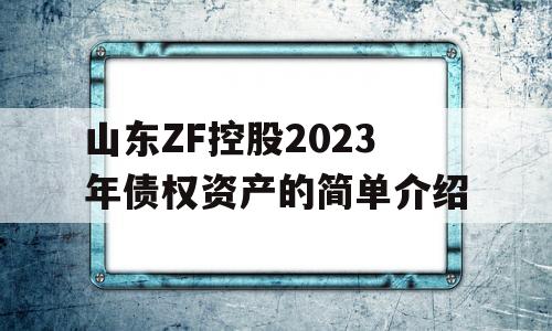 山东ZF控股2023年债权资产的简单介绍